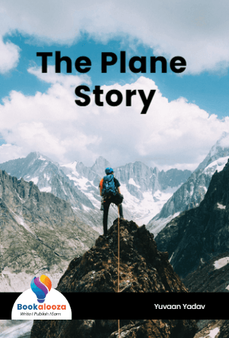 The Plane Story
