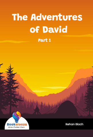 The Adventures of David