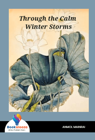 Through The Calm Winter Storms