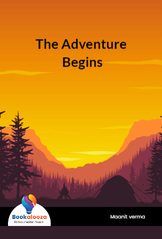 The Adventure Begins